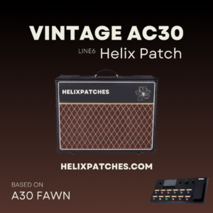 Product cover of the vintage 30 amp preset